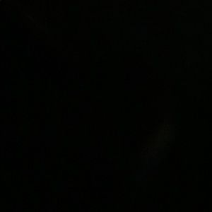 Meet your Posher, Moshe